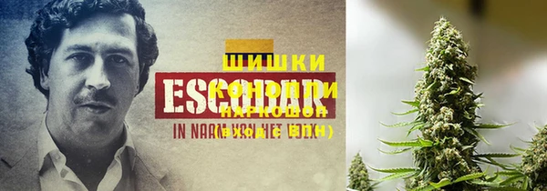 каннабис Баксан