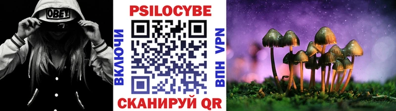 Галлюциногенные грибы Psilocybe  MEGA ссылки  Велиж 